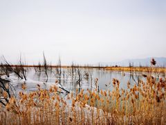 -野鸭湖国家湿地公园