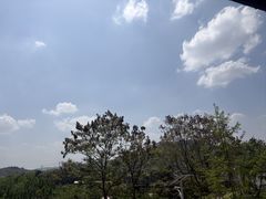 -桃源山庄·水蜜桃采摘·柴火鸡·烧烤团建(龙泉山店)