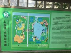 -上海都市菜园