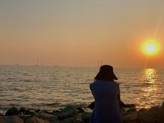 -宝安西湾红树林湿地公园