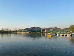 -上海长兴岛郊野公园