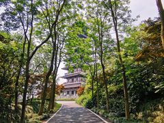 -宜兴龙背山森林公园