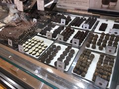 -VENCHI 闻绮(上海佛罗伦萨小镇店)