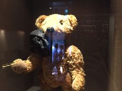 -济州岛泰迪熊博物馆