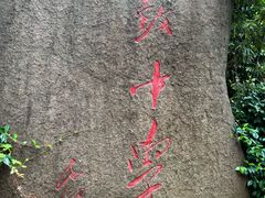 -上海市格致初级中学