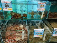水产区-琼大师东方烤乳猪(亚特兰蒂斯店)
