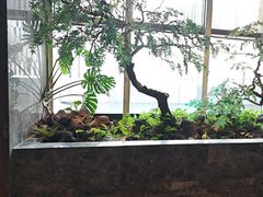 -海立阁海鲜江浙菜(漕河泾印象城店)