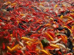 -泰安地下龙宫景区