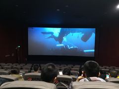 放映厅-哈尔滨电影院