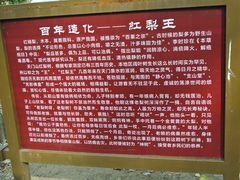 -北京密云天门山风景区