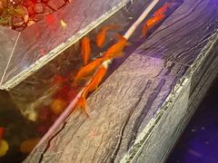 -悦慕·花满溪(新城吾悦店)