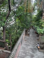 -重庆医科大学附属儿童医院(渝中院区)