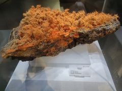 -湖南省地质博物馆