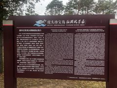 -虎头要塞