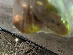 -东漖肉菜综合市场