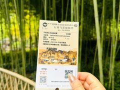 -绍兴东湖风景区