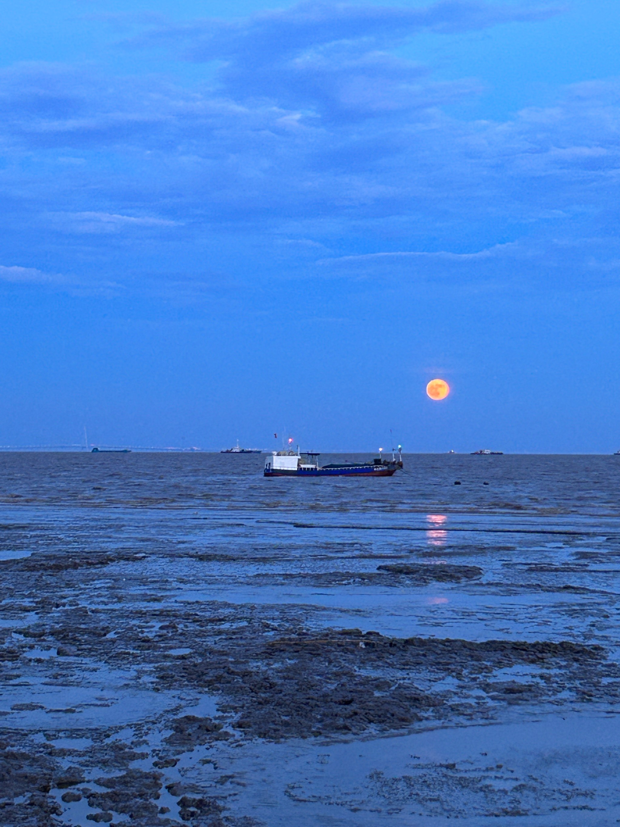 海盐观海园图片