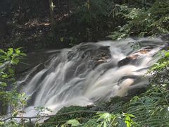 -莫里热带雨林景区