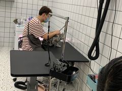 -BABIT巴比特宠物(MOMOPARK店)