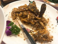 -农家鸡宴私房菜(城东店)