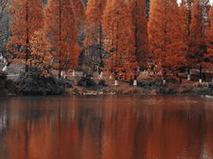 -观山湖公园