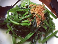 -乐天皇朝(爱雍·乌节购物中心店)