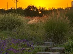 -汉长安城未央宫国家考古遗址公园