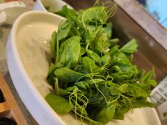 -烹然四季椰子鸡火锅(团结湖总店)