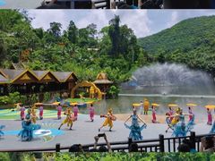 -西双版纳原始森林公园