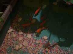 -怡泰SPA·泰疗按摩(徽宁路店)