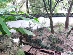 -秋霞圃
