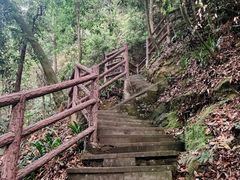 -缙云山景区
