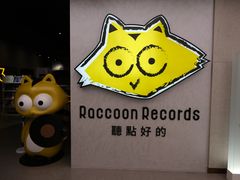 -浣熊唱片店(上海影城店)