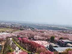-古柏渡飞黄旅游区