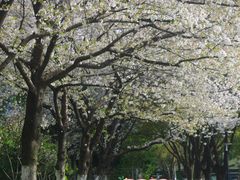 -昆山城市公园