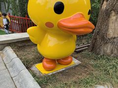 -燕塞湖鸟语林景区