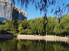 -团结湖公园