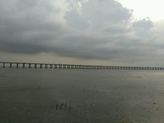 -宝安西湾红树林湿地公园