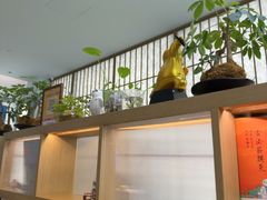 -长风拨筋养身(金虹桥店)