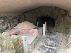 -上海佘山国家森林公园天马山园