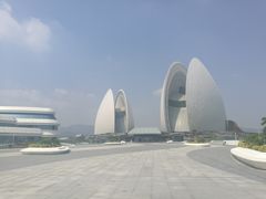 -野狸岛