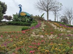 -东莞植物园