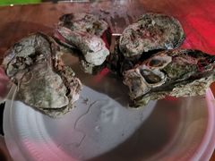 -八一湛江生蚝(文明东路总店)