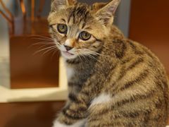 -阿目眼镜(清华科技园店)