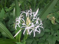 -蒲园食堂(中山大学广州校区南校园店)