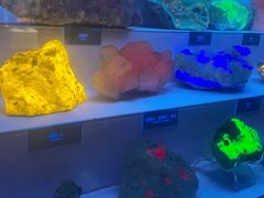 -湖南省地质博物馆