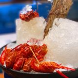 珠海自助｜濠景炙筵·小龙虾🦞派送