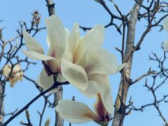 -天鹅湖体育公园