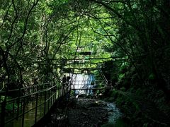-夏霖九天银瀑风景区