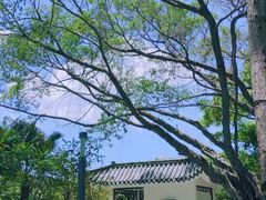 -四海公园(南山区)